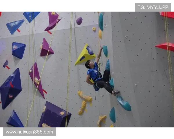 南京攀岩队成员个人能力分析与表现评估的综合研究